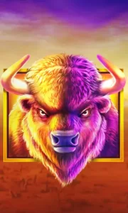 Buffalo King